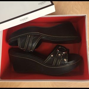 COACH Janeesa Grainy Calf