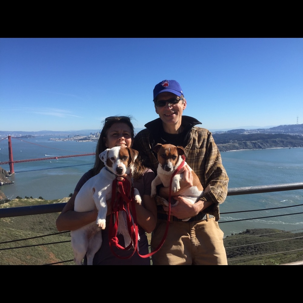 Meet your Posher, Jane