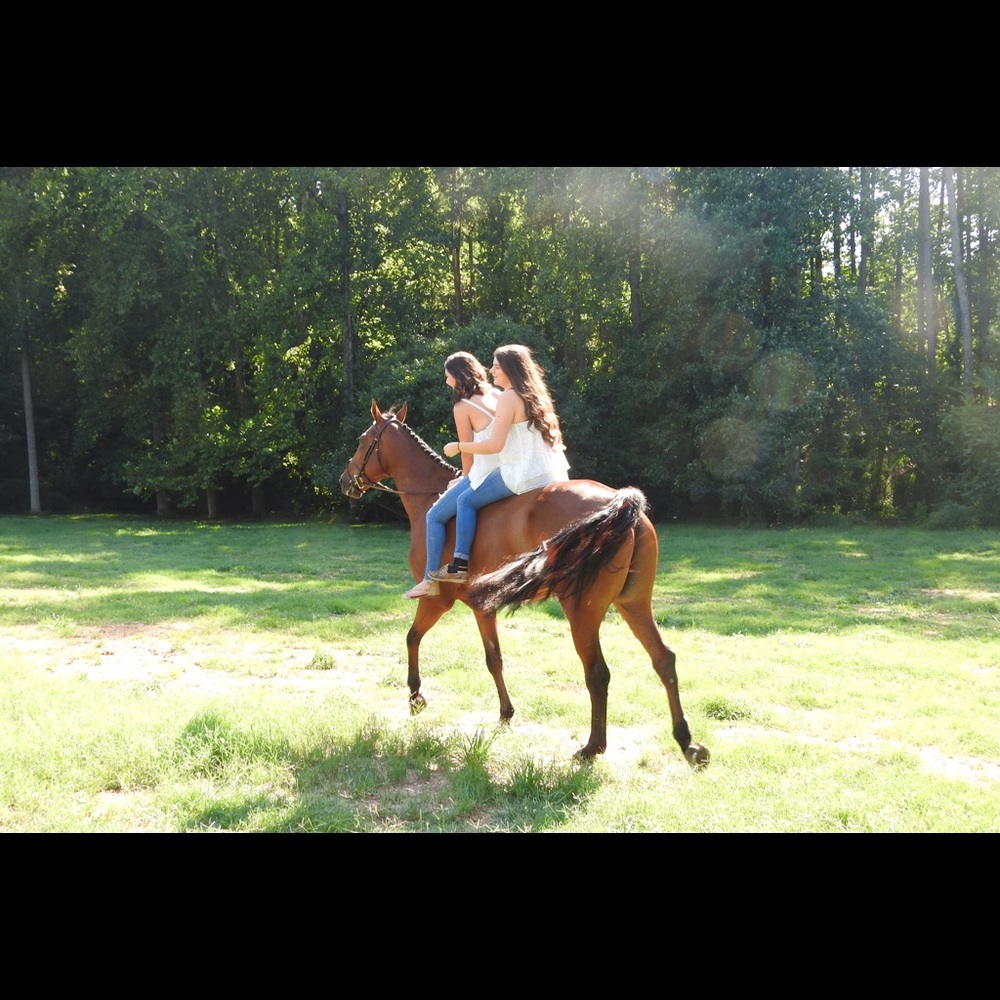 Meet your Posher, Darby