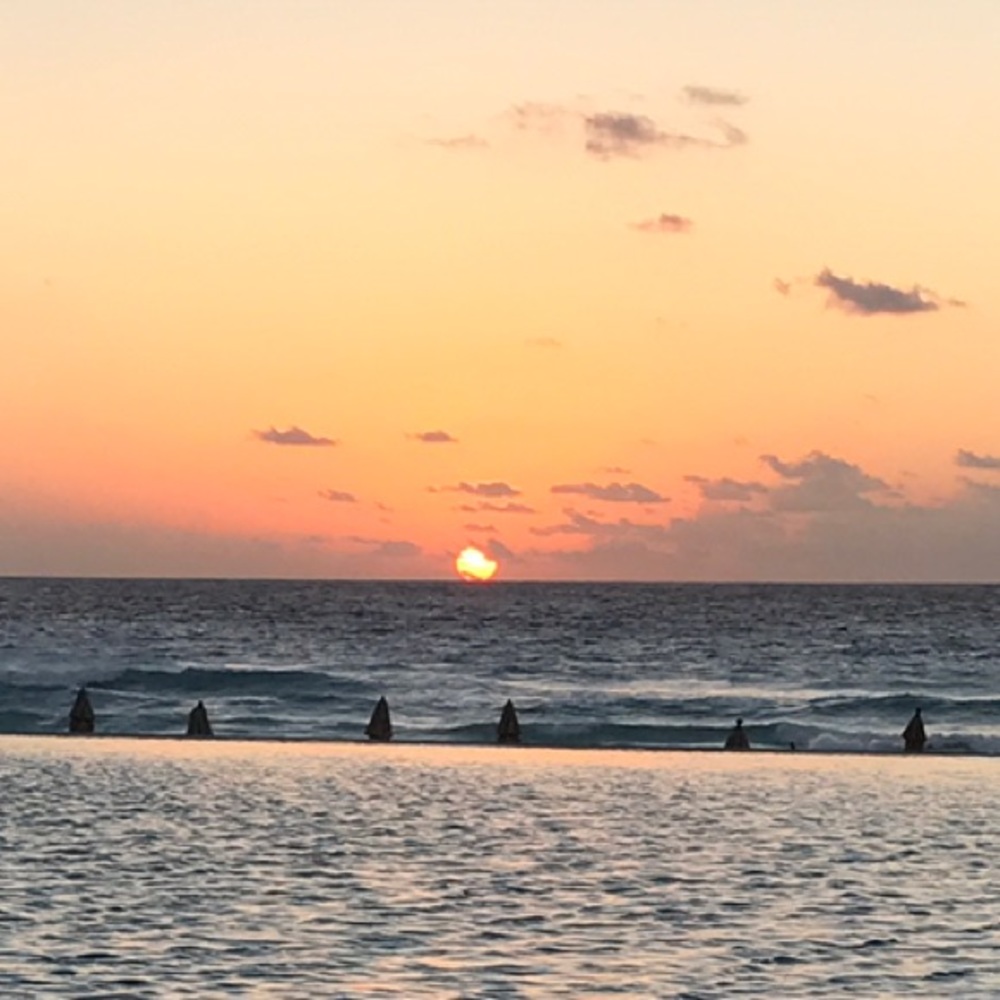 Meet your Posher, Teresa