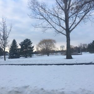 Meet your Posher, Magaly