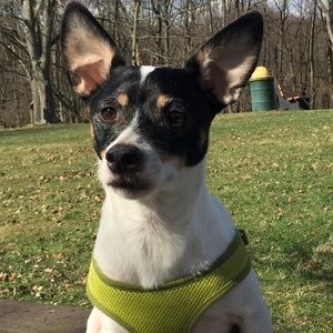 Meet your Posher, Kella