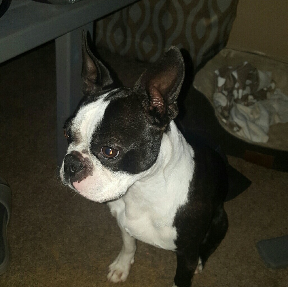 Meet your Posher, Casie