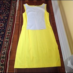 The Limited Color Block Dress