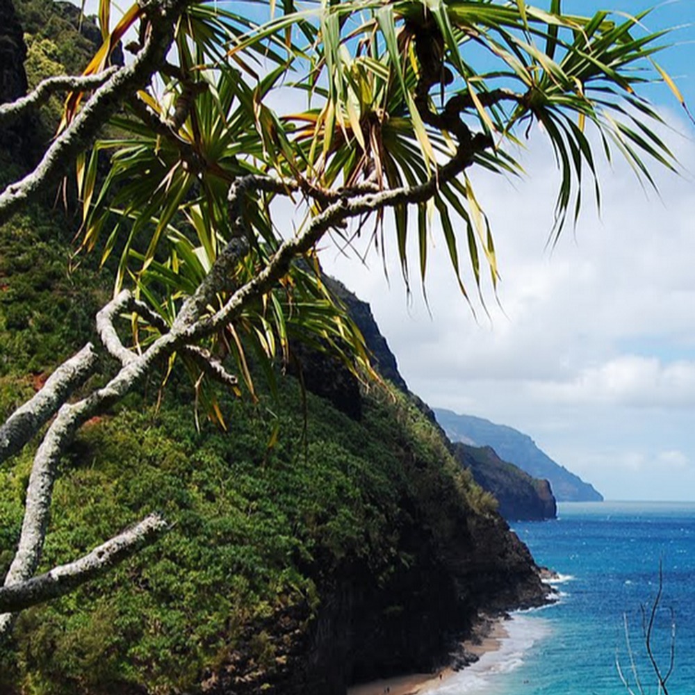 Meet your Posher, Ari