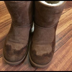 Chestnut short uggs