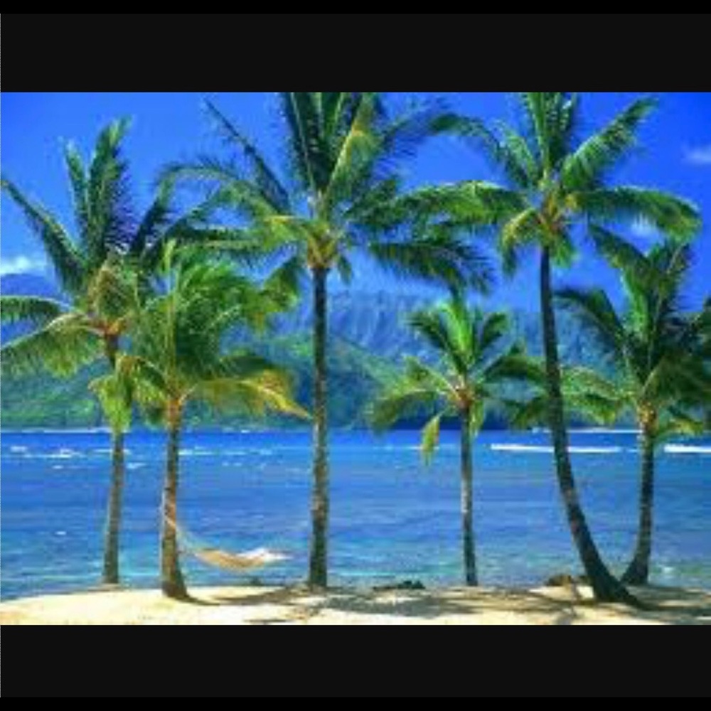 Meet your Posher, Shelly