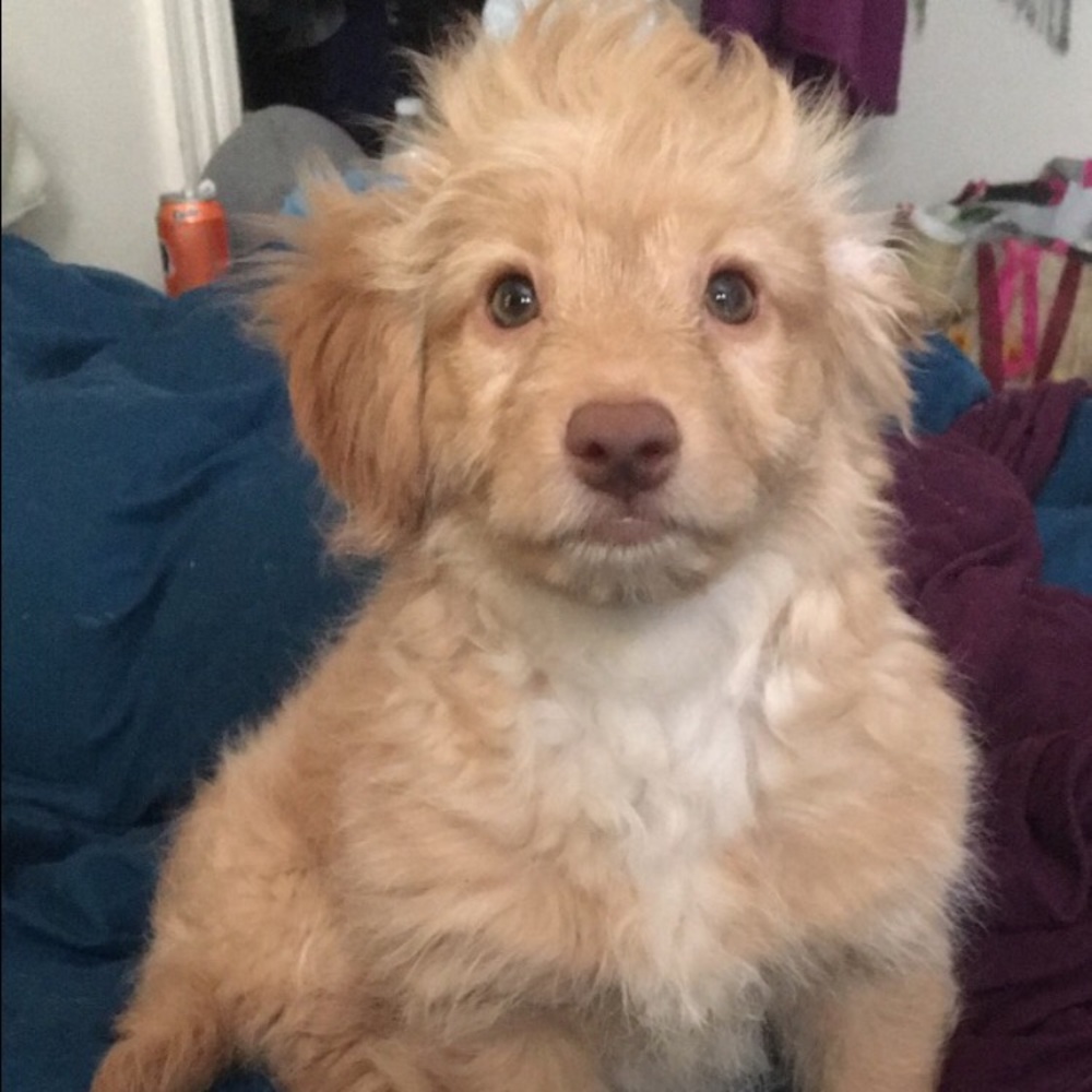 Meet your Posher, Jill