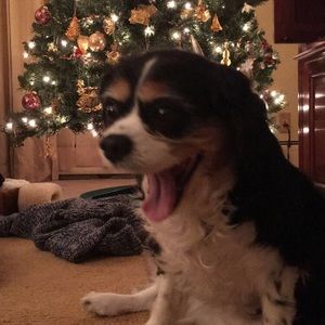 Meet your Posher, Kelly