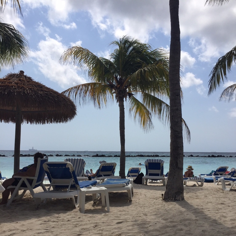 Meet your Posher, Joanne