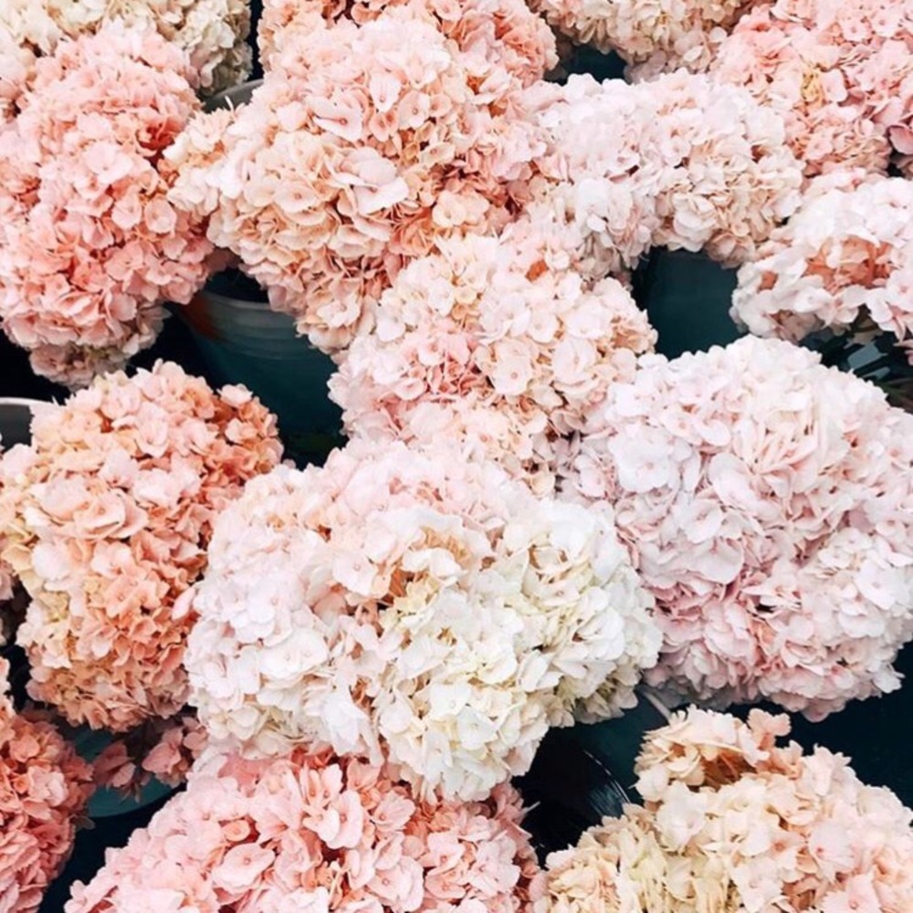 Meet your Posher, Lorena