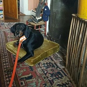 Meet your Posher, Betsy