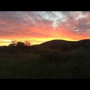 Meet your Posher, Jan