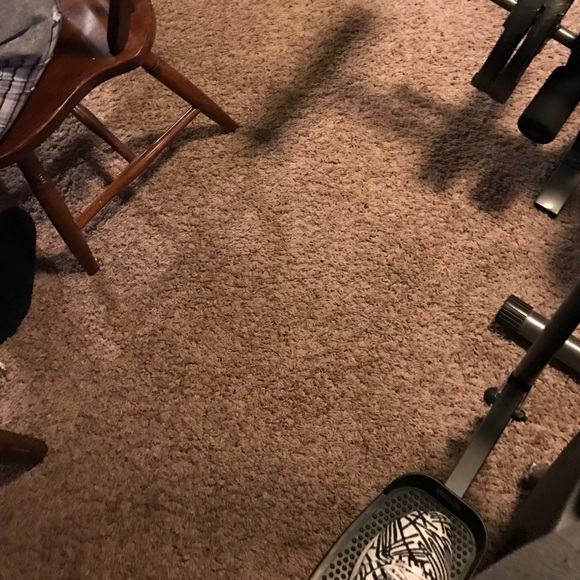 Meet your Posher, Jasmine - Picture 1 of 1