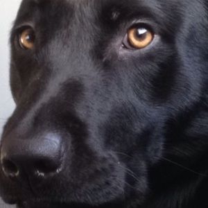 Meet your Posher, Lexy