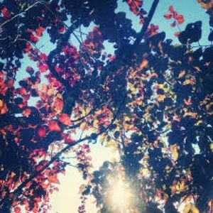 Willing to negotiate prices!!!!!!