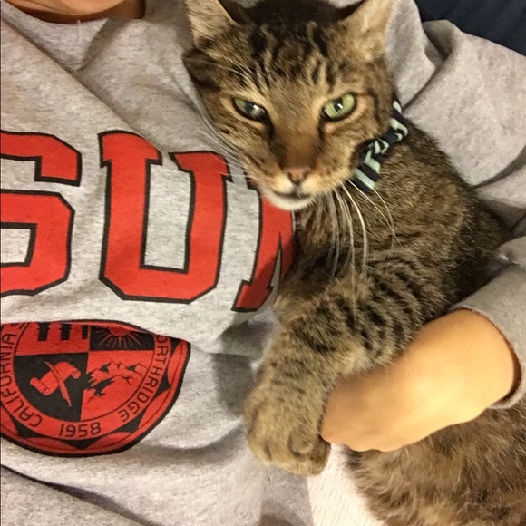 Meet your Posher, Mia - Picture 3 of 6