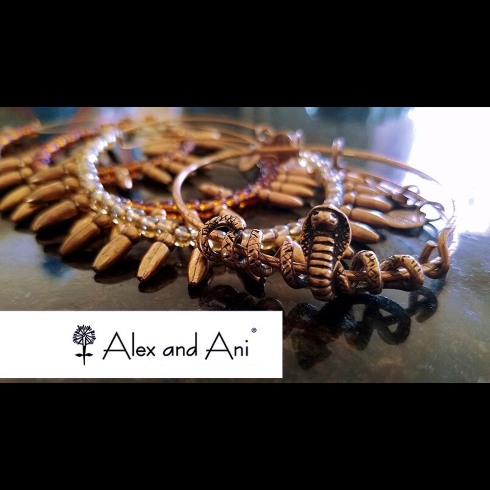 ✨FOUR PIECE ✨Golden Goddess Alex&Ani Bangle Set!💥