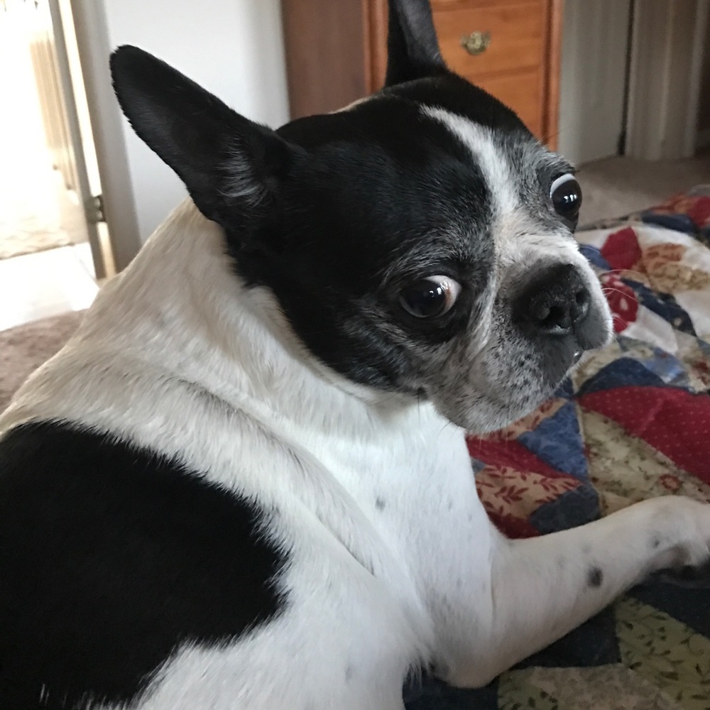 Meet your Posher, Patricia