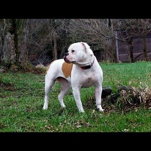 Meet your Posher, Deb