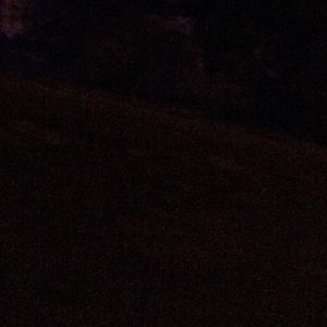 Meet your Posher, Malia