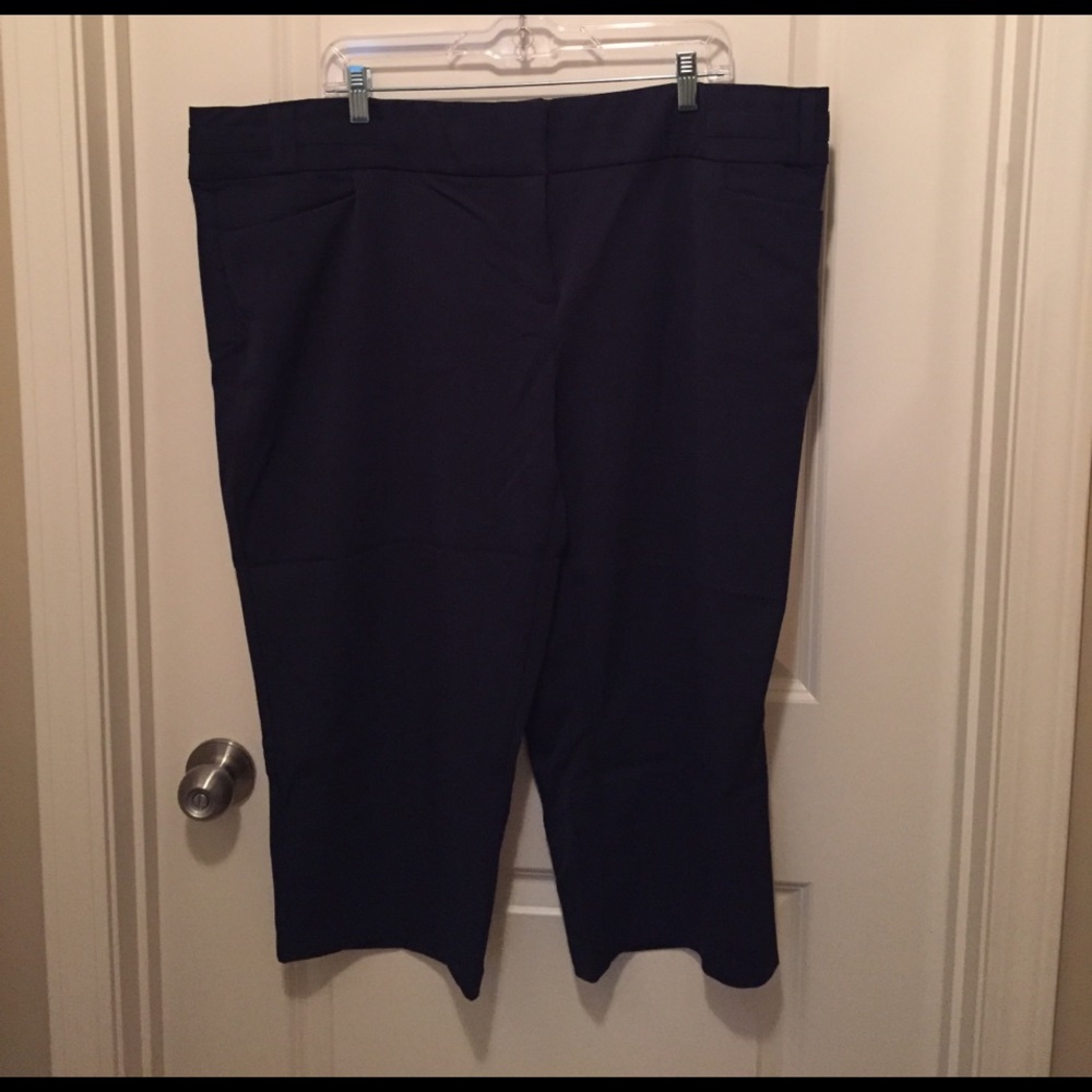 Maurices Capris - Business Suit Material