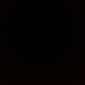 Meet your Posher, Chayce