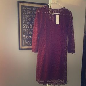 Piperlime Lace Dress Brand new! Beautiful!