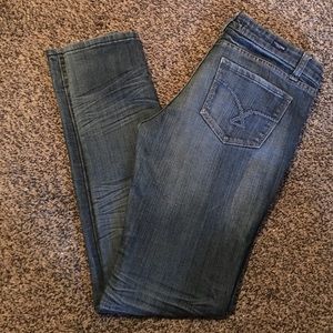 Vigoss Skinny Jeans ; Size 5