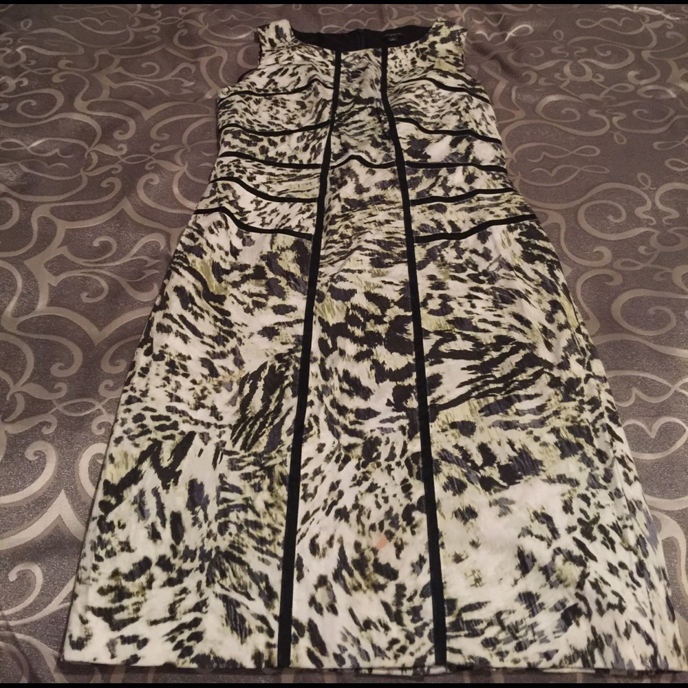 Ann Taylor dress