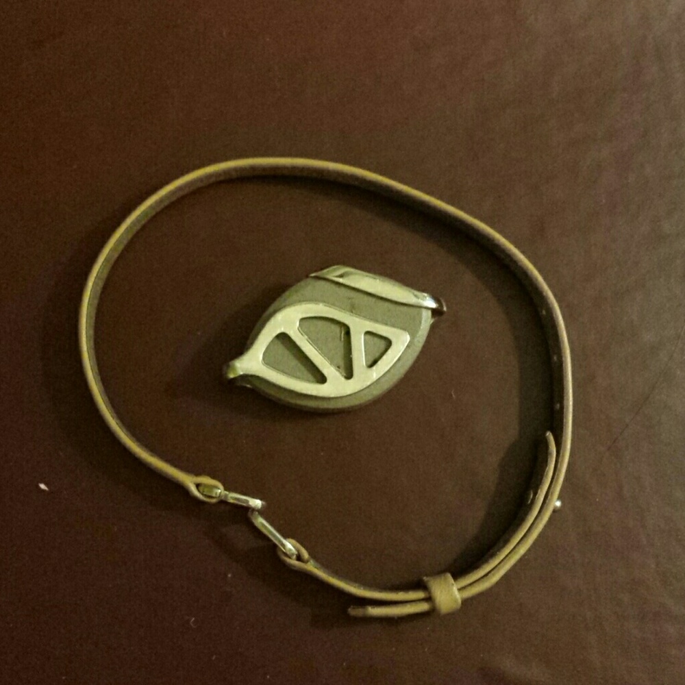 Bellabeat leaf