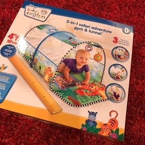 baby einstein tunnel