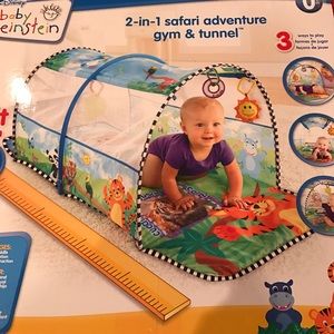 baby einstein tunnel