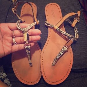 Coach limited edition SNAKESKIN W/ gold accent