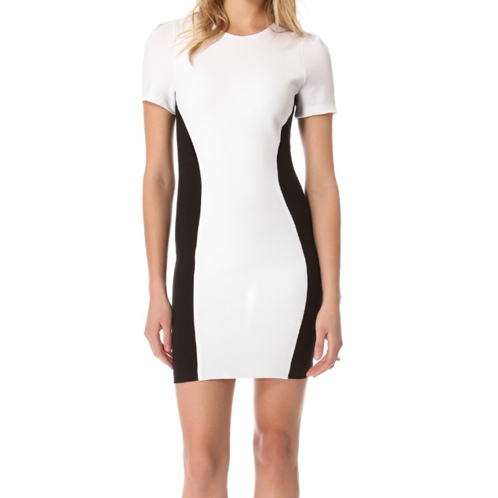 Torn by Ronny Kobo Shiran Short Dress