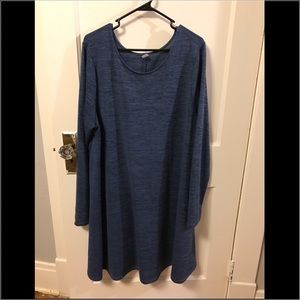 Long Sleeved Swing Dress