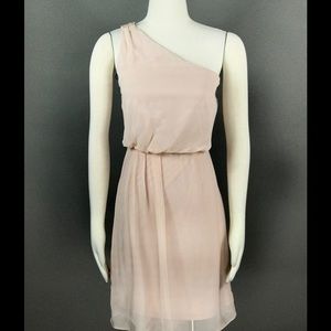 ADRIANNA PAPELL Blush Dress Chiffon One Shoulder
