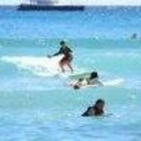 Meet your Posher, Brian - Picture 1 of 1