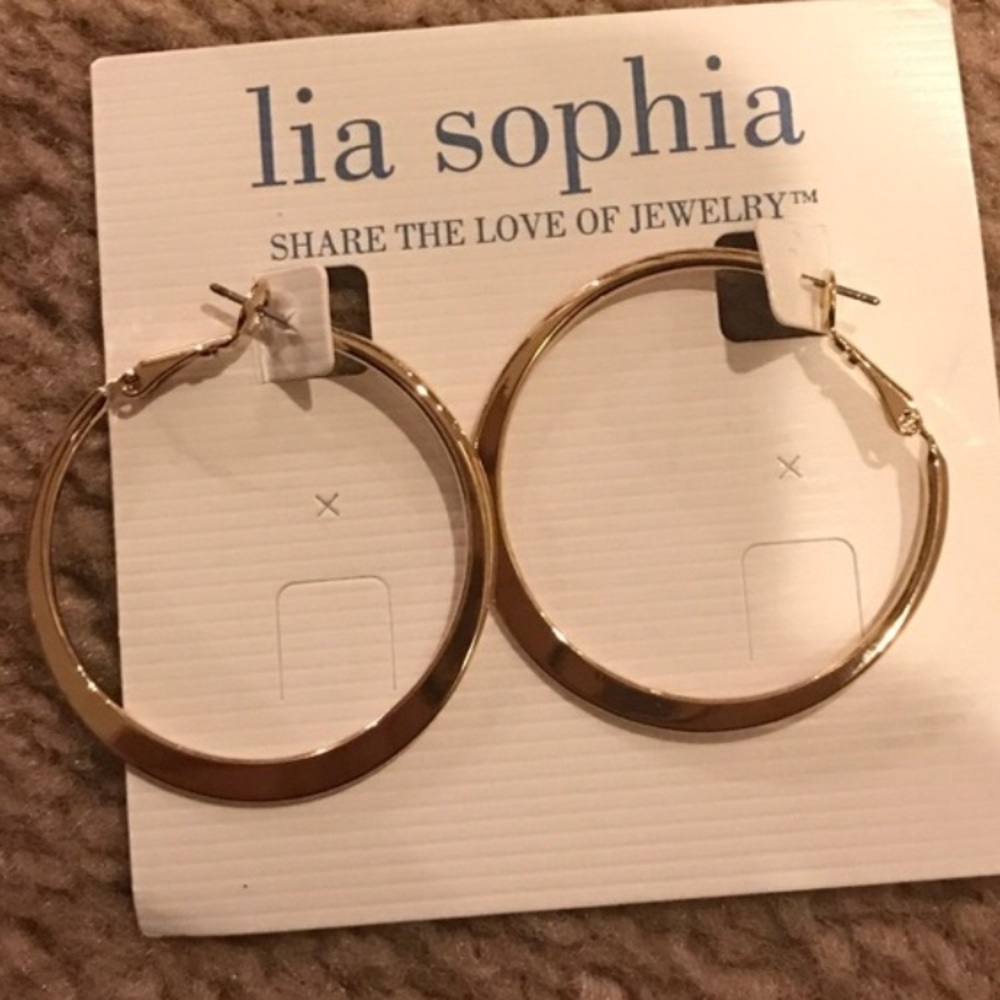 ISO these except in silver - Lia Sophia hoops