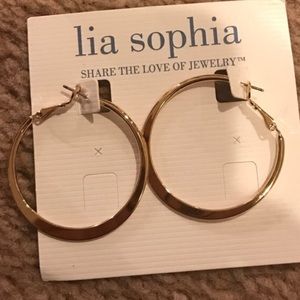 ISO these except in silver - Lia Sophia hoops