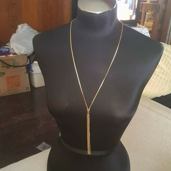 BCBGeneration Jewelry - 🎉New BCBGENERATION Statement Tassel Necklace