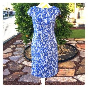 Blue and White Alex Dress Size 6 New with Tags