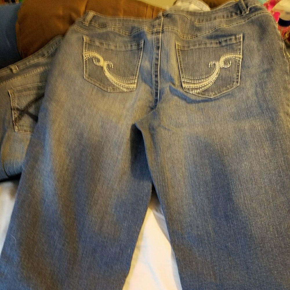 Lane Bryant genius fit