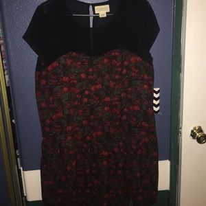 Denim and supply women's dress