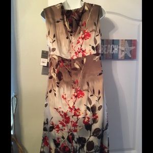 NWT Donna Ricco sleeveless Dress