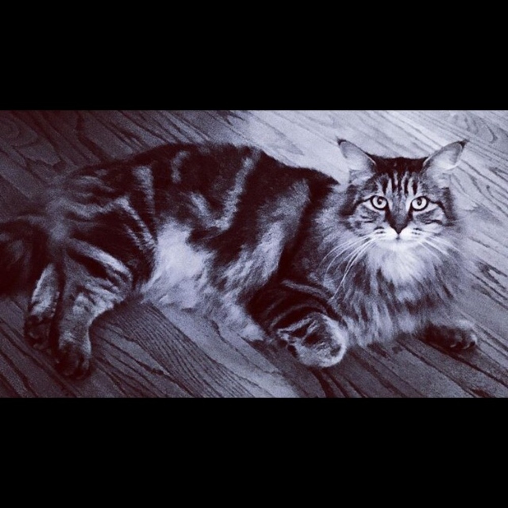 Percy