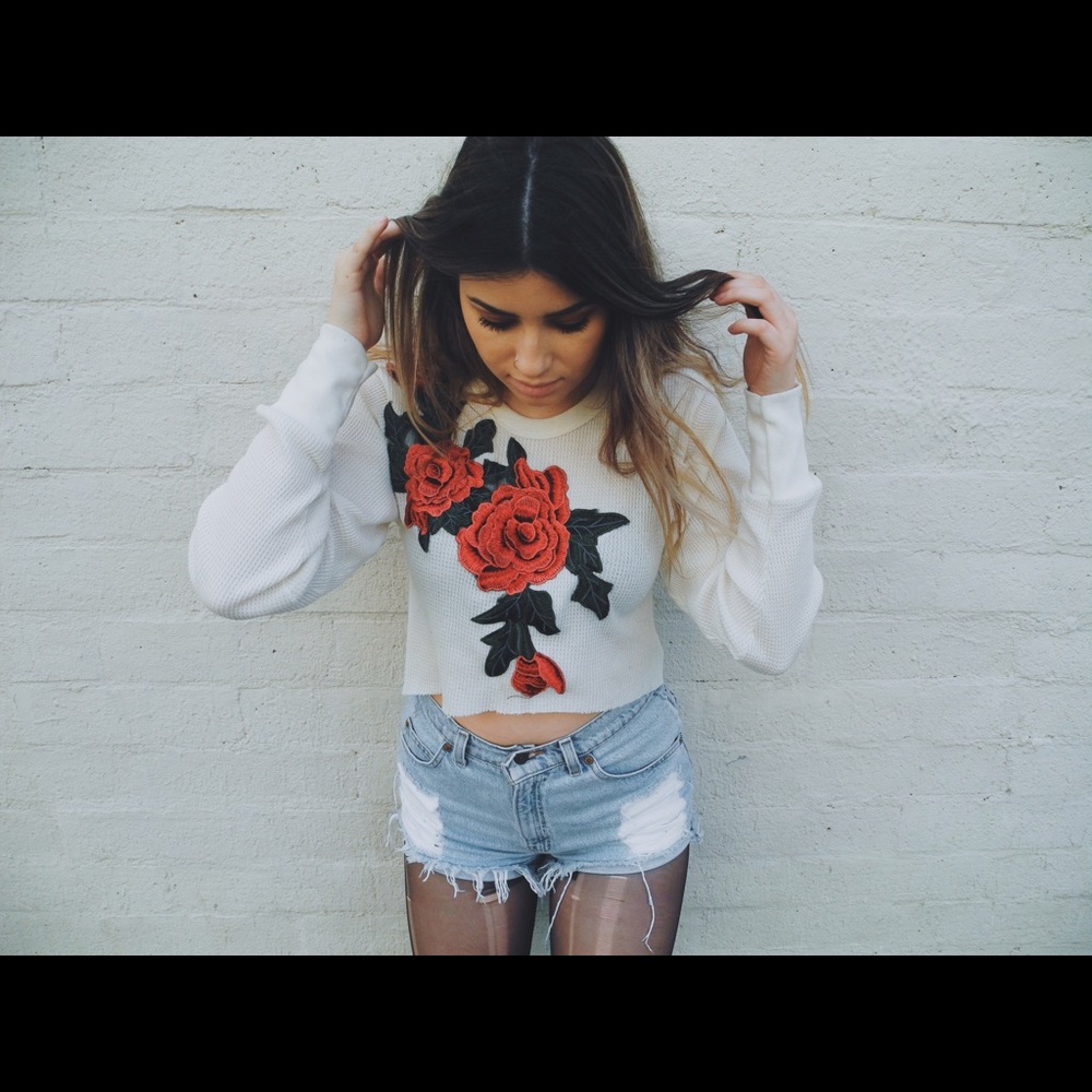 Embroidered crop top