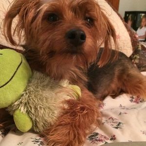 Meet your Posher, Lori