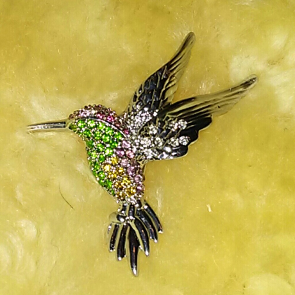 Humming Bird Broach...Soo Sweet!!