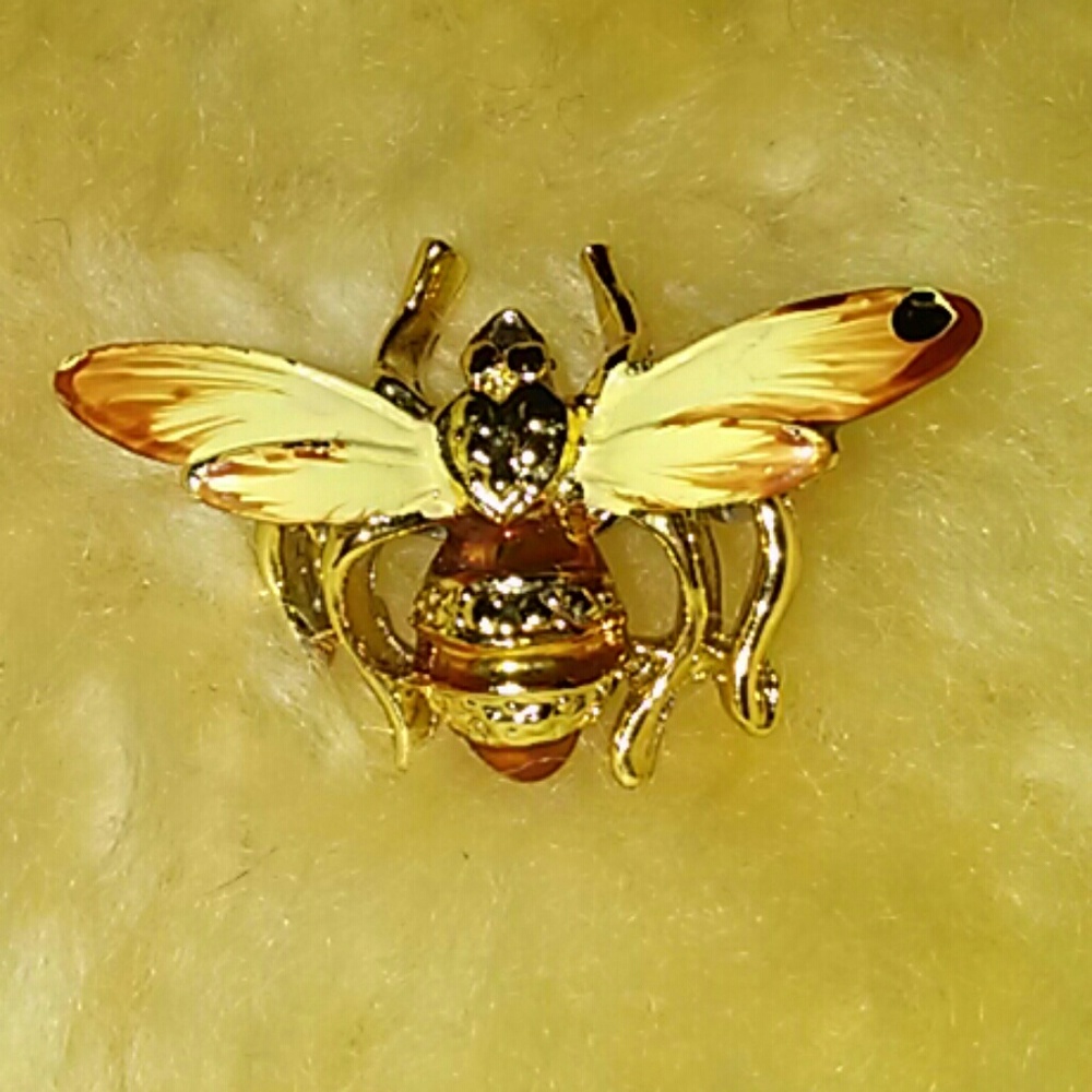 Bee Broach...Super Glamorous!
